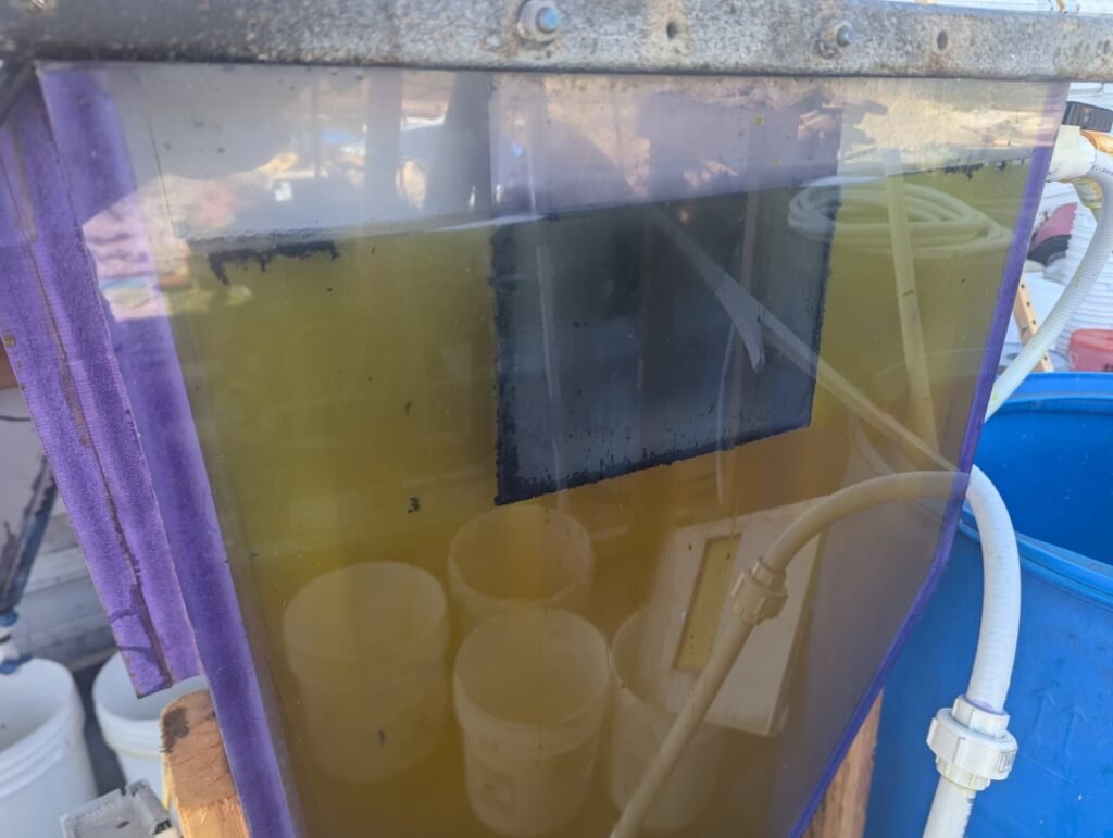 Rowow electrochemical cell in operation